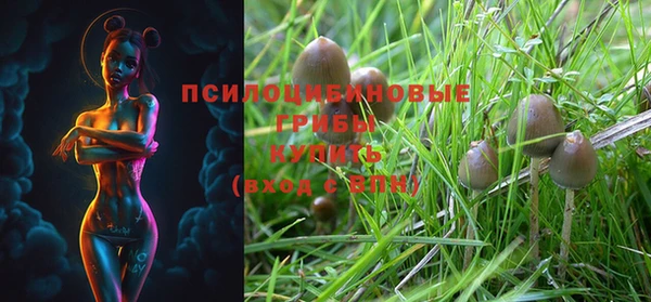 2c-b Алексеевка