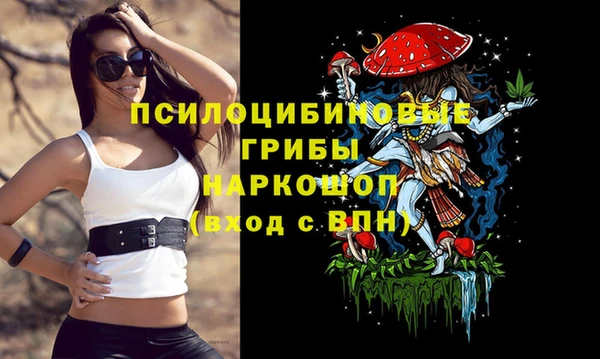 хмурый Абдулино