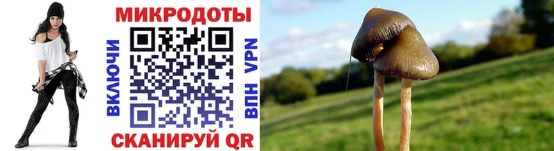 Галлюциногенные грибы прущие грибы  где можно купить наркотик  Шахты 